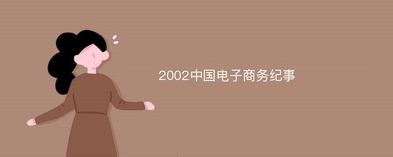 2002中国电子商务纪事