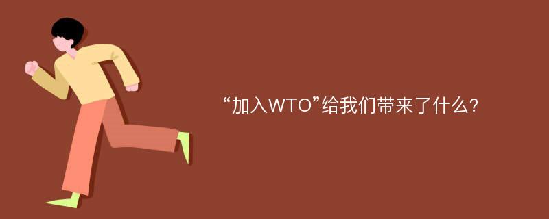 “加入WTO”给我们带来了什么？