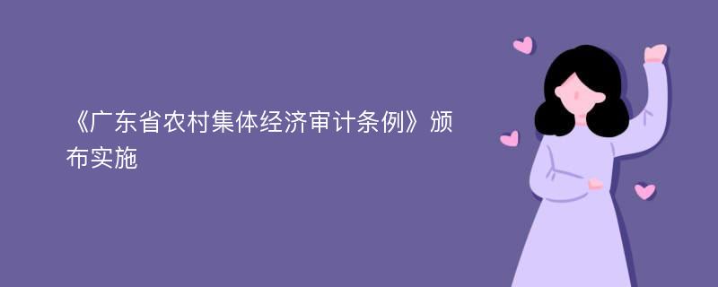 《广东省农村集体经济审计条例》颁布实施