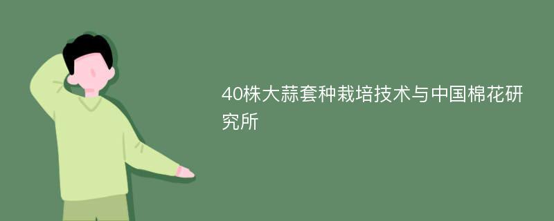 40株大蒜套种栽培技术与中国棉花研究所